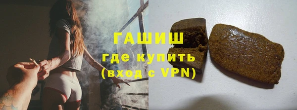 тгк Ельня