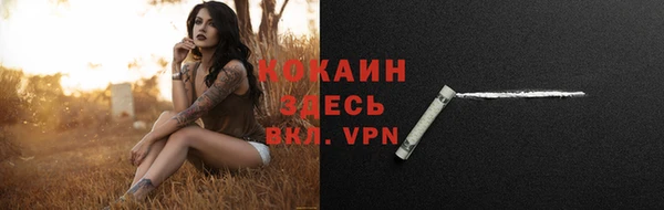 СК Ступино