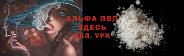 молекула духа Заволжск