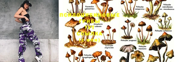 мдпв Струнино