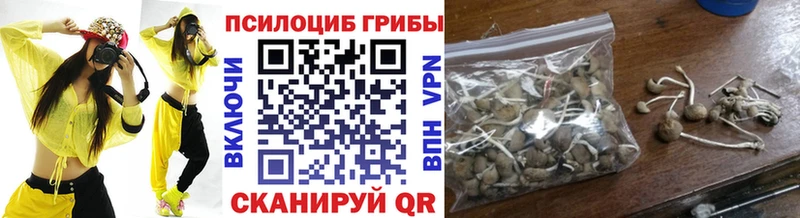 Купить Новотроицк Галлюциногенные грибы Psilocybe